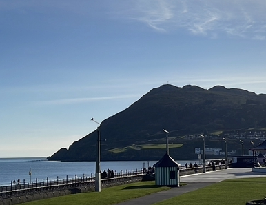 Bray