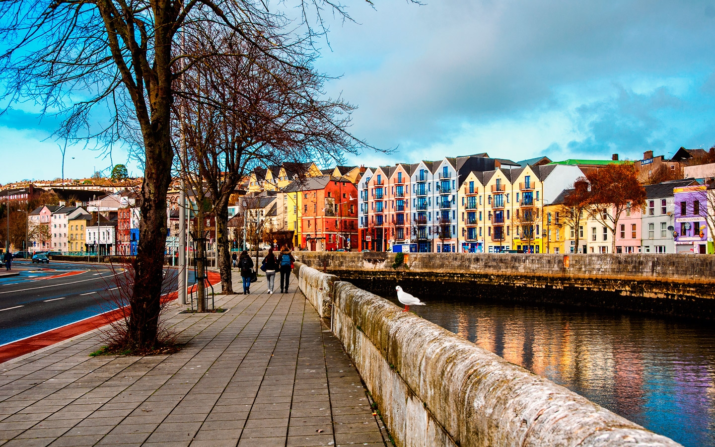 Cork